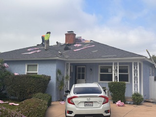 Burbank Roofing project