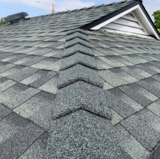 Burbank Roofing project