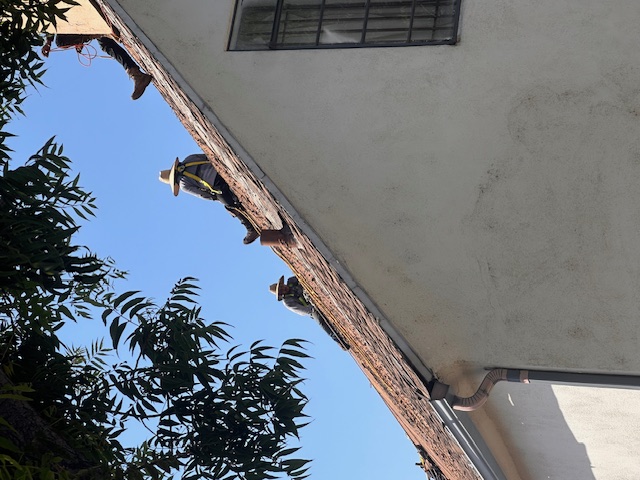 Burbank Roofing project