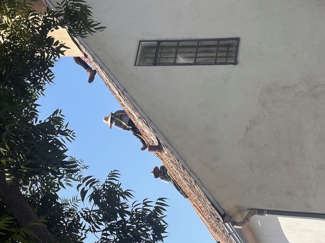 Burbank Roofing project