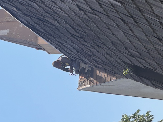 Burbank Roofing project